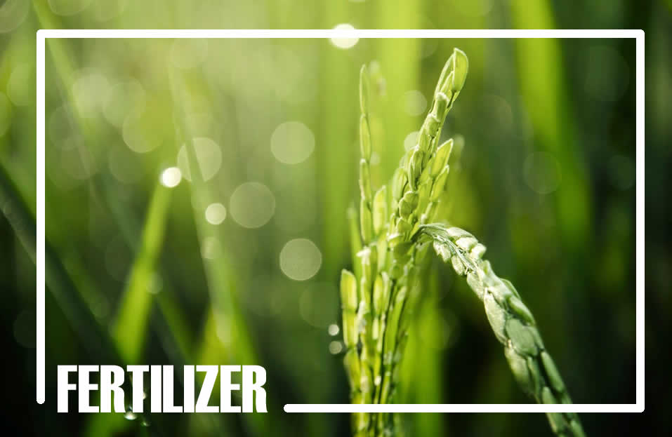 Fertilizer production