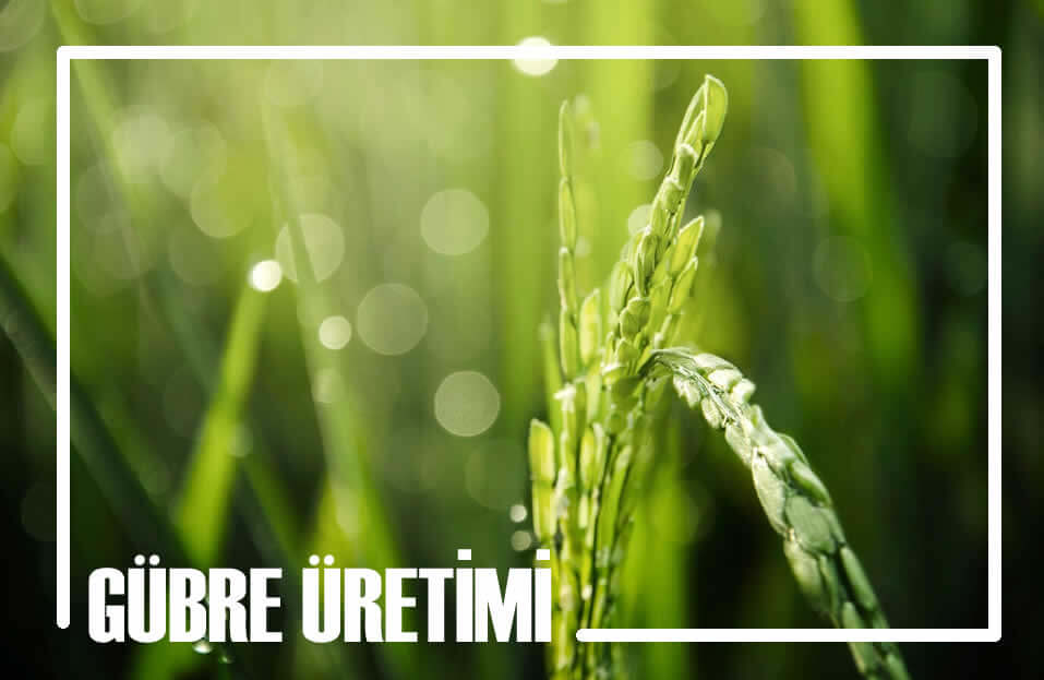 Gübre Üretimi